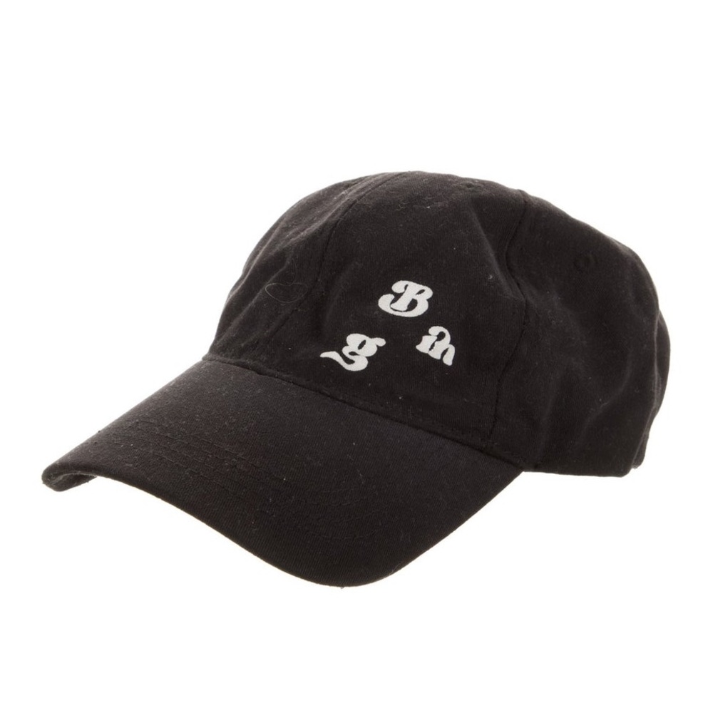 NWT Anine Bing Embroidered Baseball Hat